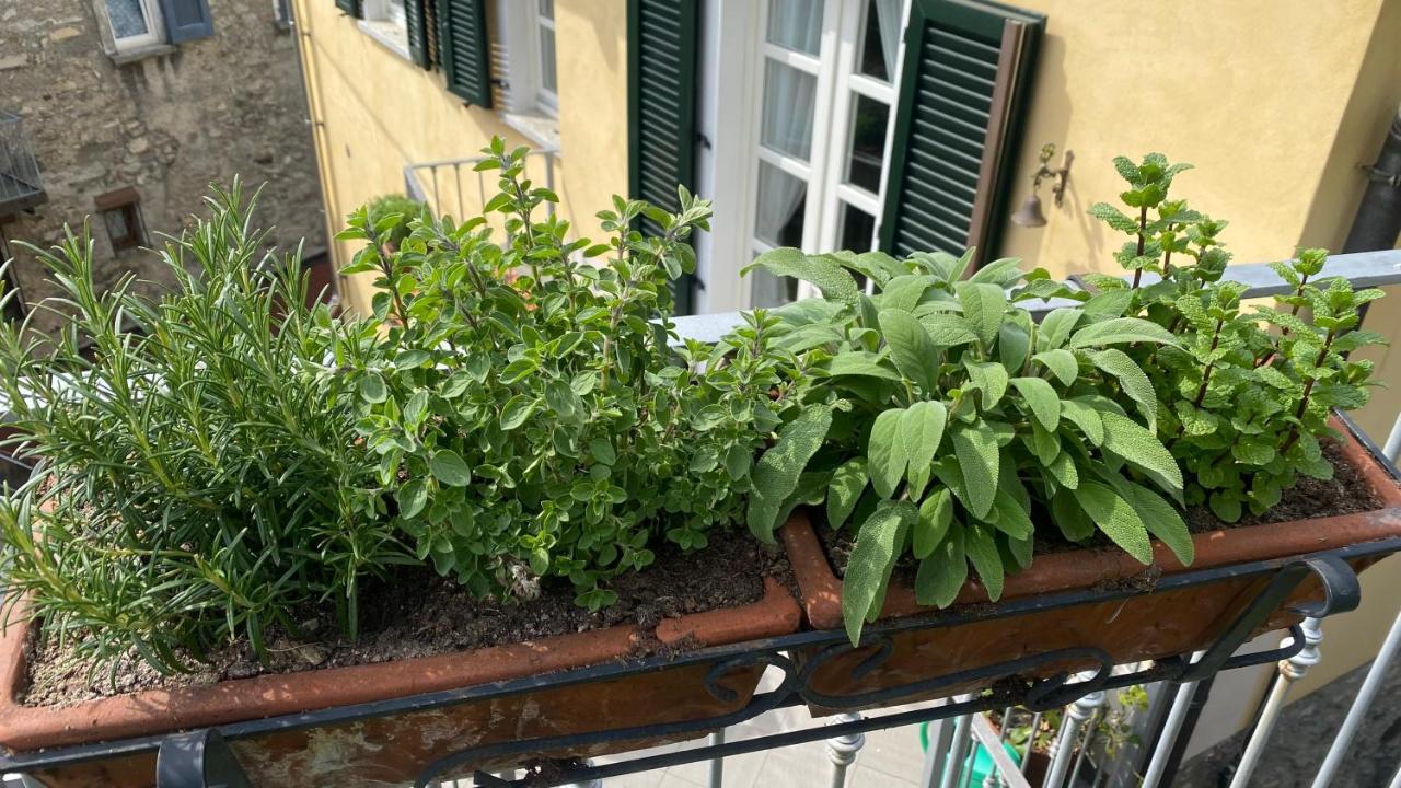 Il Mulino Di Hotel Villa Aurora Nesso Exterior foto