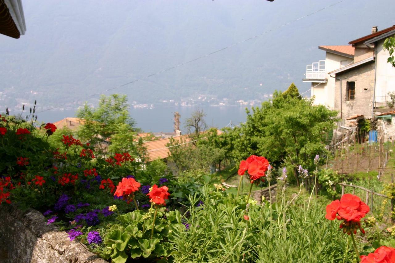 Il Mulino Di Hotel Villa Aurora Nesso Exterior foto
